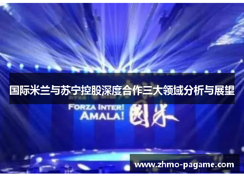 国际米兰与苏宁控股深度合作三大领域分析与展望 国际米兰与苏宁控股深度合作三大领域分析与展望