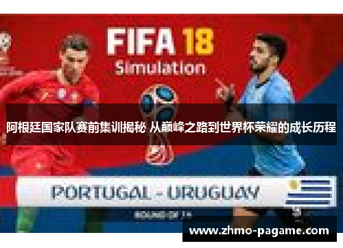 阿根廷国家队赛前集训揭秘 从巅峰之路到世界杯荣耀的成长历程